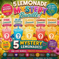 5 DRINK MYSTERY LEMONADE BUNDLE